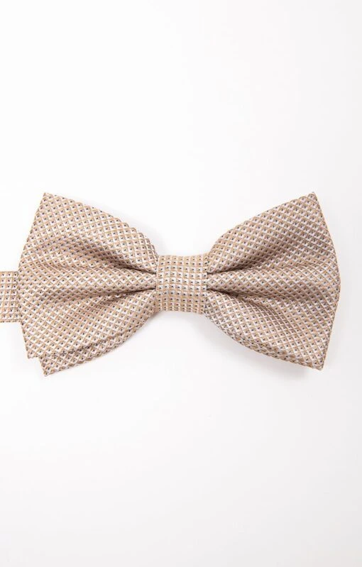 NOEUD PAPILLON CHAMPAGNE